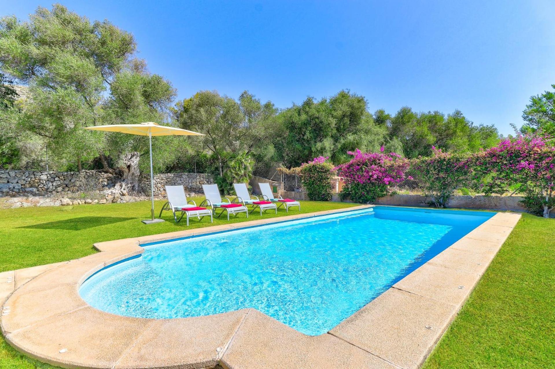 Villa Olivo By